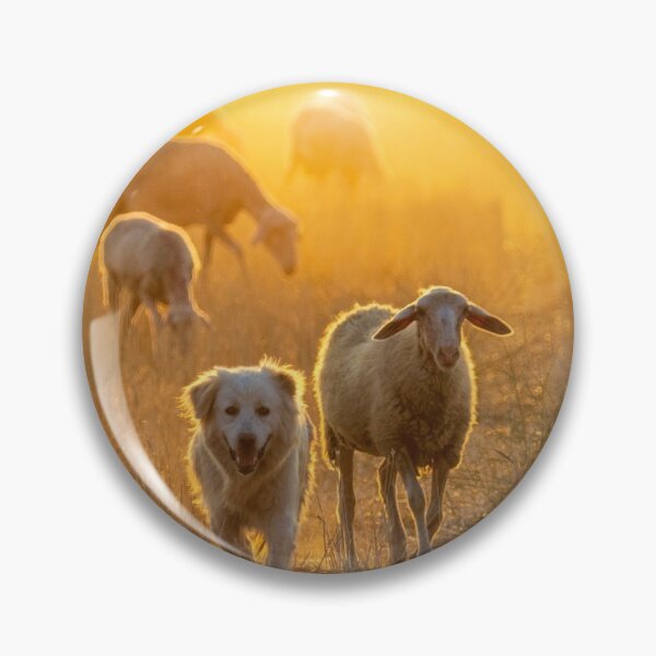 Item preview, Dog and his sheeps designed and sold by RafaelLima7.