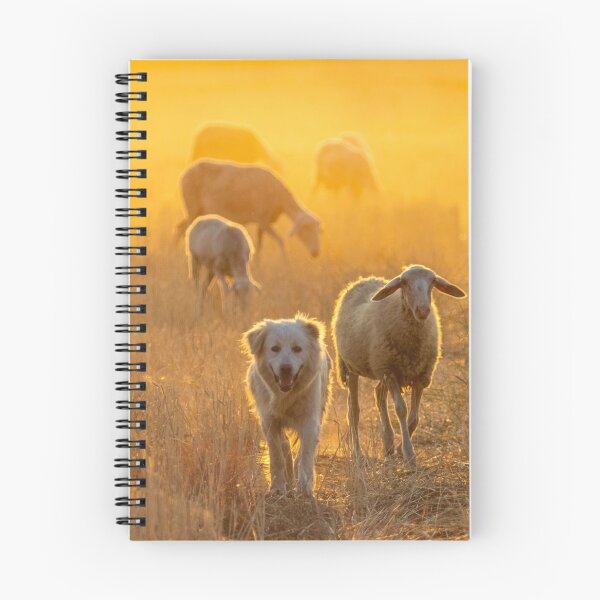 Item preview, Dog and his sheeps designed and sold by RafaelLima7.