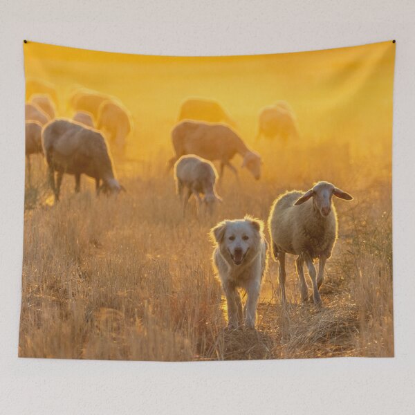 Item preview, Dog and his sheeps designed and sold by RafaelLima7.