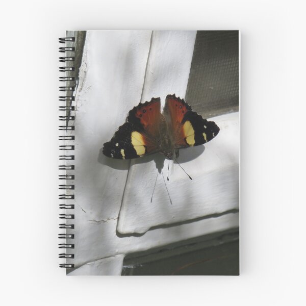 Item preview, Yellow admiral butterfly designed and sold by greentiger1.