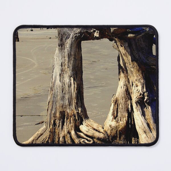 Item preview, Tree on Stilts! Jekyll Island, Georgia. designed and sold by Billlee.