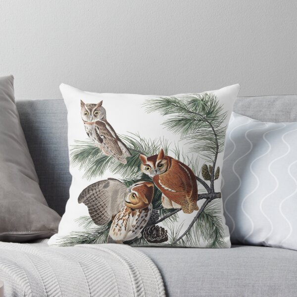Item preview, Eastern Screech-Owl - John James Audubon designed and sold by billythekidtees.