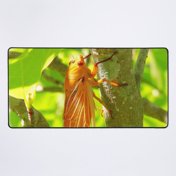 Item preview, Cicada Yellow Monday designed and sold by bradm50.