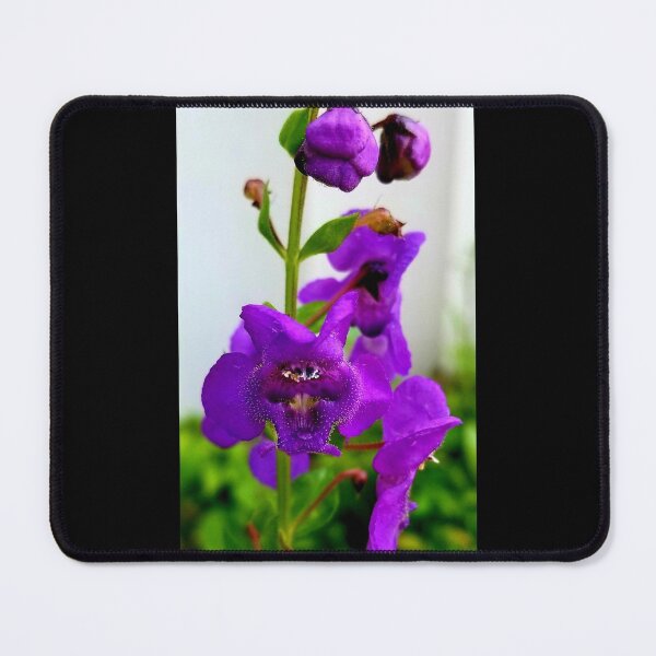 Item preview, Snap Dragon  designed and sold by AmandaFaye99.