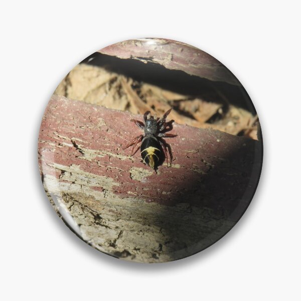 Item preview, Jovial jumping spider designed and sold by greentiger1.