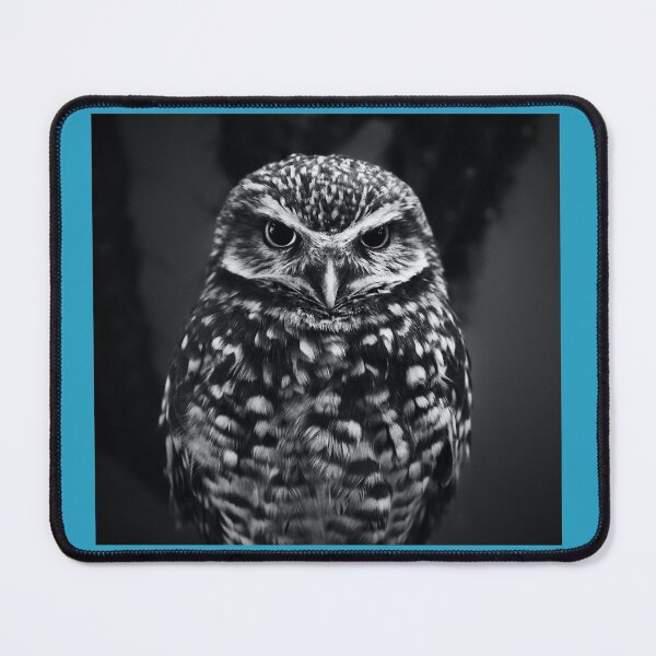 Item preview, BLACKOWL Cams From Around the World! designed and sold by RagnarHouse.