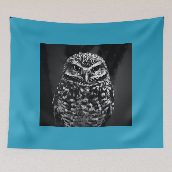 Item preview, BLACKOWL  Cams From Around the World! designed and sold by RagnarHouse.