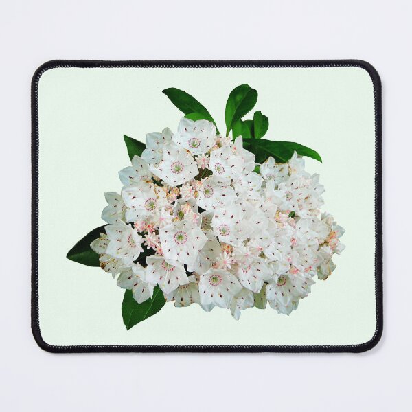 Item preview, Mountain Laurel designed and sold by Susan Savad.