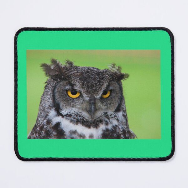 Artikel-Vorschau von Sniper Eye Signal OWL Cams aus aller Welt!, designt und verkauft von RagnarHouse.