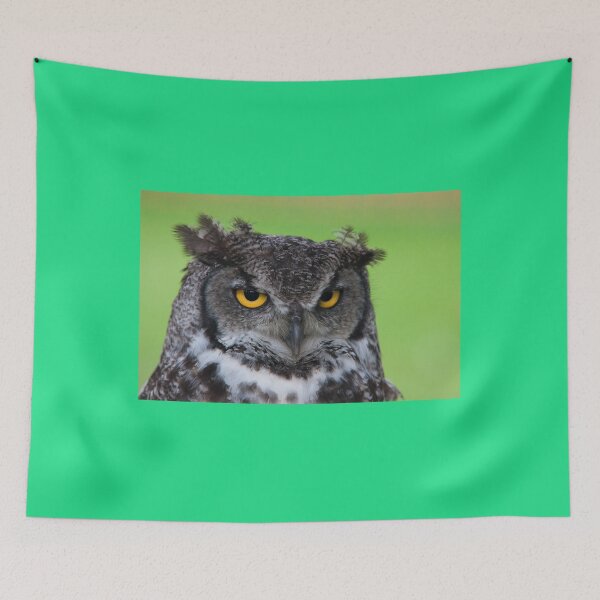 Artikelvorschau, Sniper Eye Signal OWL Cams aus aller Welt! entworfen und verkauft von RagnarHouse.