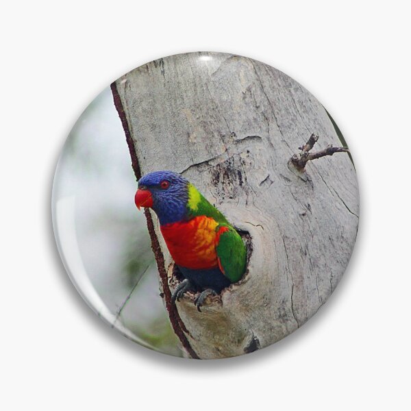 Item preview, Rainbow Lorikeet designed and sold by bradm50.