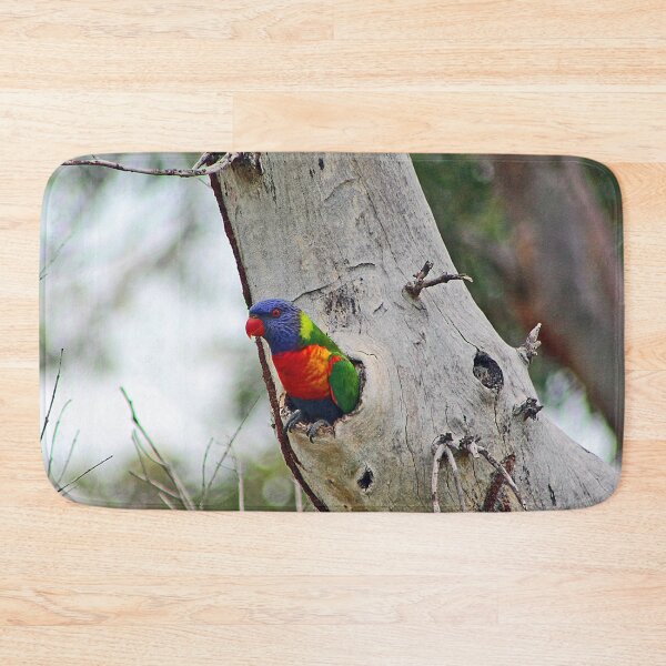 Item preview, Rainbow Lorikeet designed and sold by bradm50.