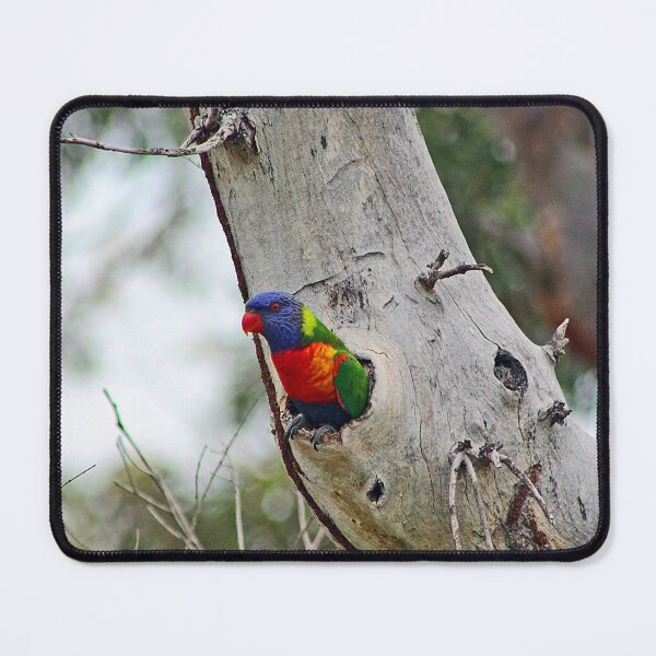 Item preview, Rainbow Lorikeet designed and sold by bradm50.