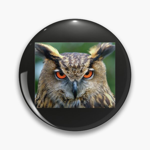 Item preview, Chasing OWL Attacking designed and sold by RagnarHouse.