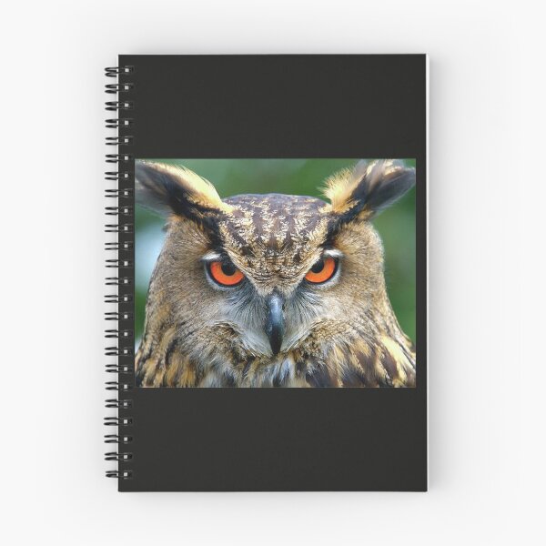 Item preview, Chasing OWL Attacking designed and sold by RagnarHouse.