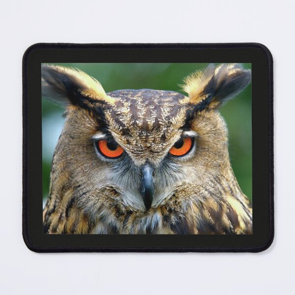 Item preview, Chasing OWL Attacking designed and sold by RagnarHouse.