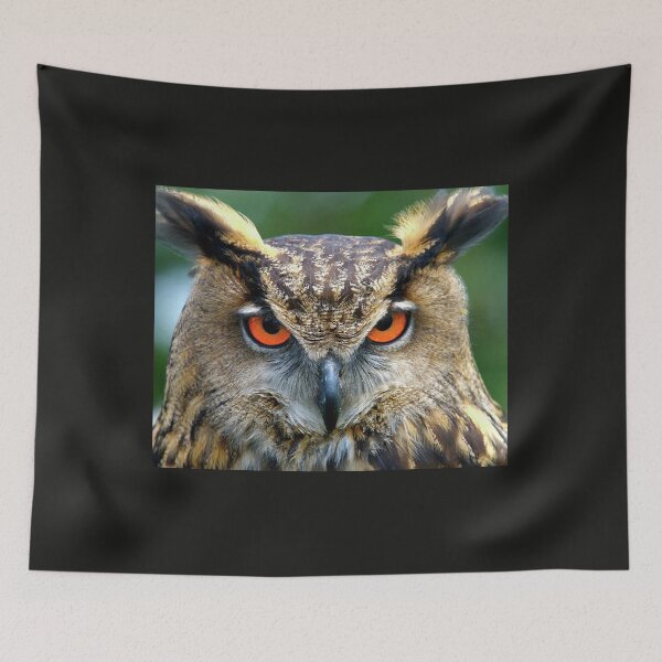 Item preview, Chasing OWL Attacking designed and sold by RagnarHouse.