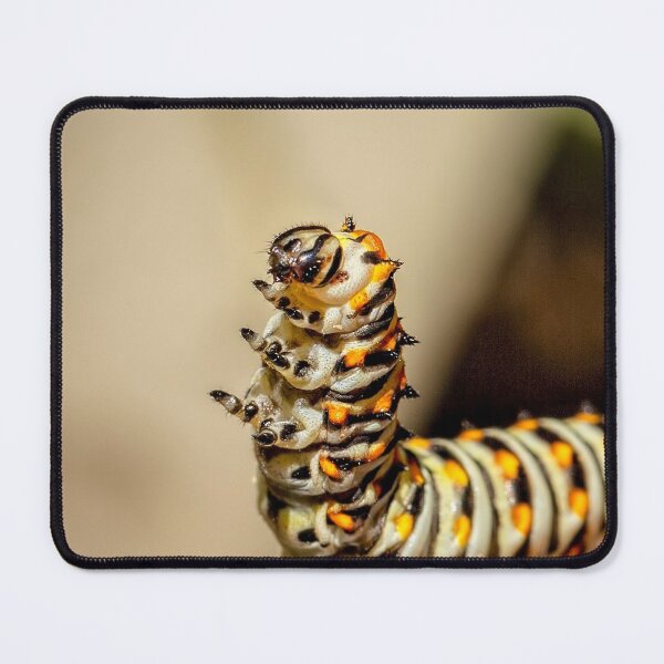 Item preview, Dancing Caterpiller designed and sold by Kay Brewer.