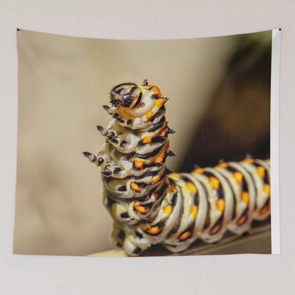 Item preview, Dancing Caterpiller designed and sold by Kay Brewer.