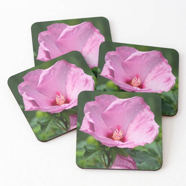 Item preview, Pink Hibiscus 5-2021 designed and sold by Thomasyoung.