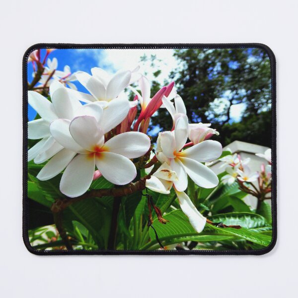 Item preview, Blooming Plumeria designed and sold by Vaengi.