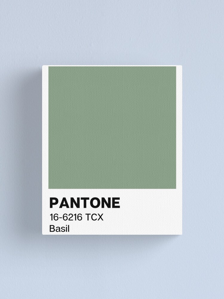 Pantone Basil Canvas Print