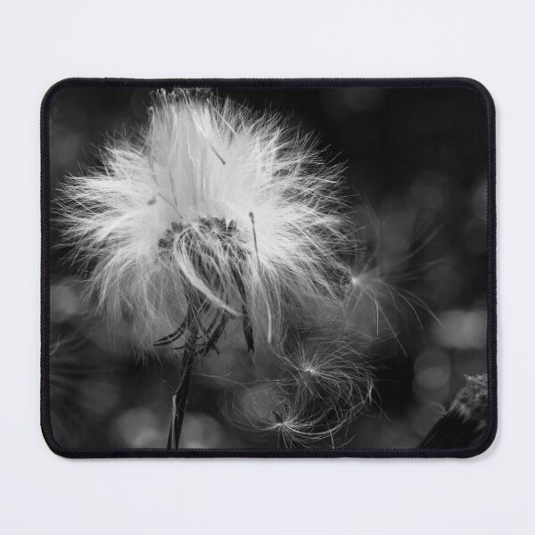 Item preview, Dandelion in Black and White designed and sold by MKP Productions.