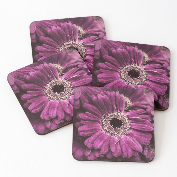 Item preview, Fuschia Gerbera Daisies designed and sold by indigorayz.