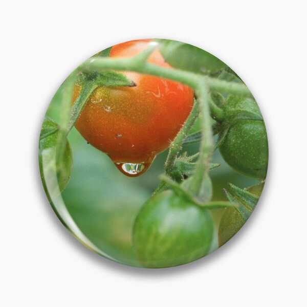 Item preview, Cherry Tomatoes designed and sold by Bill Spengler's Photographic Thoughts.