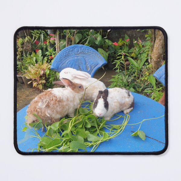 Item preview, Beautiful Rabbits designed and sold by Nimali.
