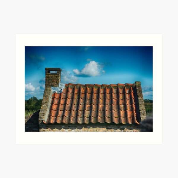 Dutch Roof at Kinderdijk Nederlands Art Print