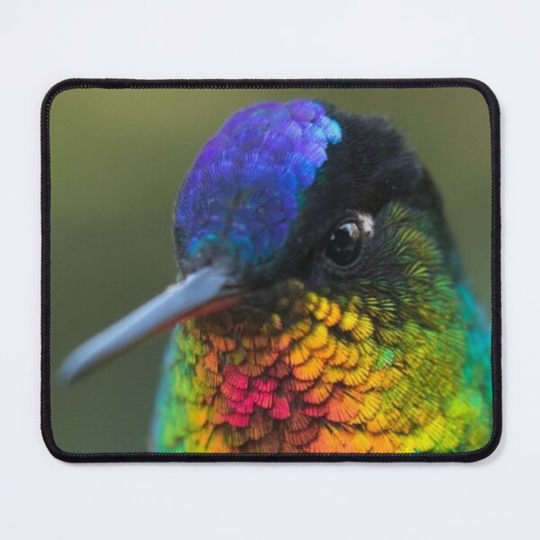 Item preview, Fiery Throated Hummingbird designed and sold by Maddie4Real.