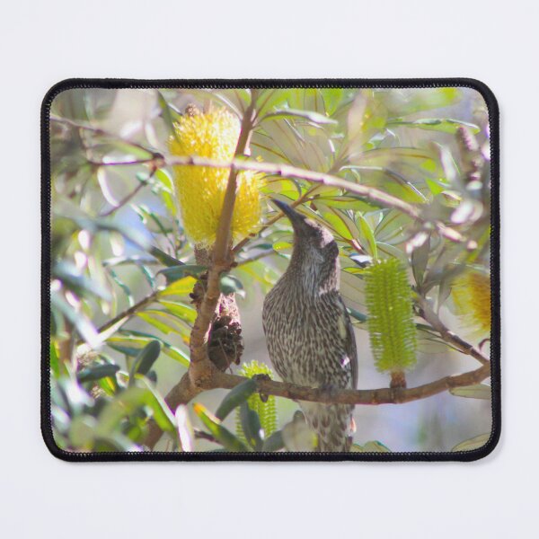 Item preview, Little Wattle Bird designed and sold by bradm50.