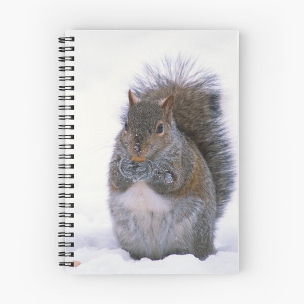 Item preview, Grey Squirrel in Winter designed and sold by Bill Spengler's Photographic Thoughts.