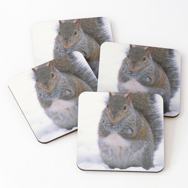 Item preview, Grey Squirrel in Winter designed and sold by Bill Spengler's Photographic Thoughts.