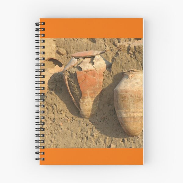 Item preview, Outside Karnak Temple in Luxor designed and sold by renprovo.