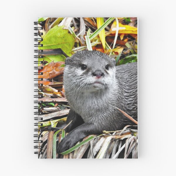 Aperçu de l'œuvre Loutre créée et vendue par StudioCorvid.