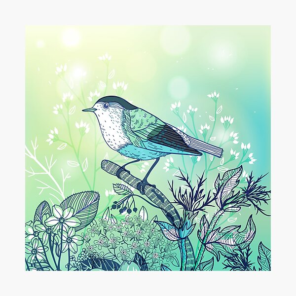 Beautiful illustration of an aqua green bird with flowers Photographic Print