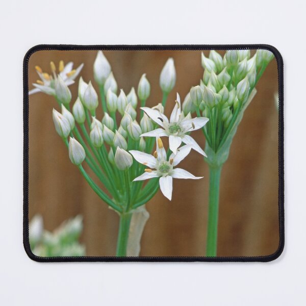 Item preview, A Flowering Bunch of Chives designed and sold by Bill Spengler's Photographic Thoughts.