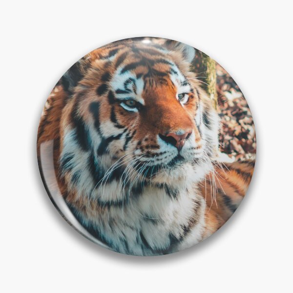 Item preview, Tiger resting in the shade designed and sold by Michael Deemer.