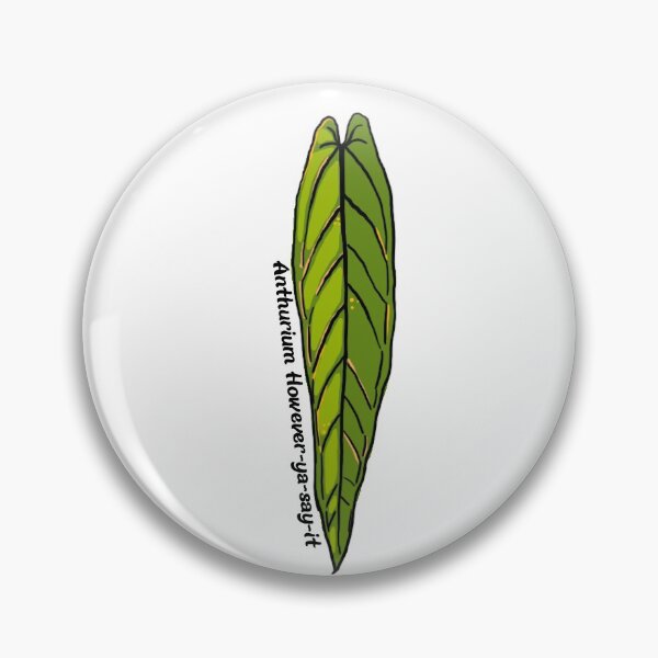 Item preview, Anthurium However-Ya-Say-It designed and sold by sleepykenplants.