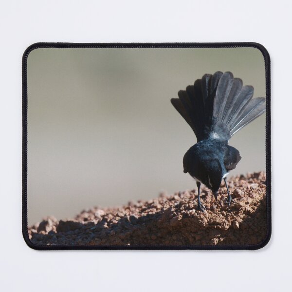 Item preview, Willy Wagtail designed and sold by notjustamwac.
