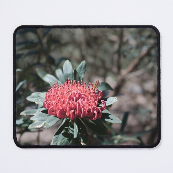 Item preview, Waratah designed and sold by notjustamwac.