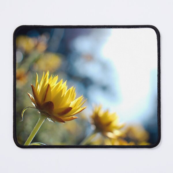 Item preview, Golden paper daisy designed and sold by notjustamwac.