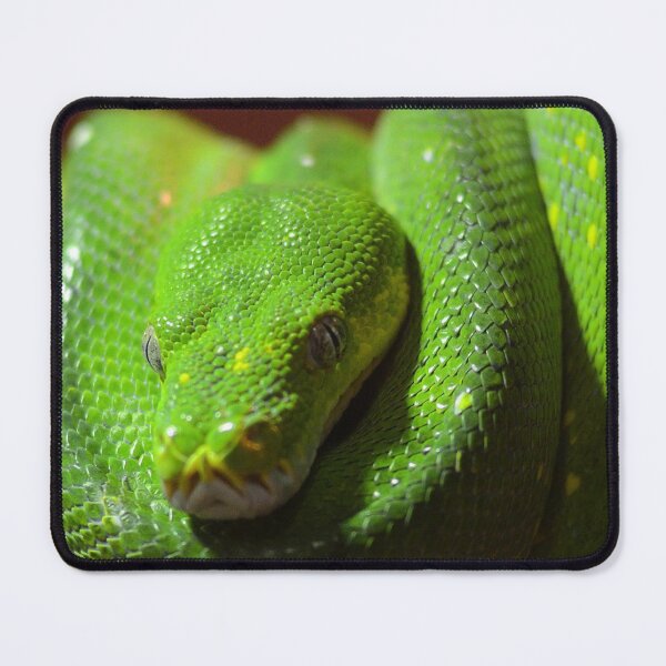 Item preview, Green Tree Python designed and sold by notjustamwac.