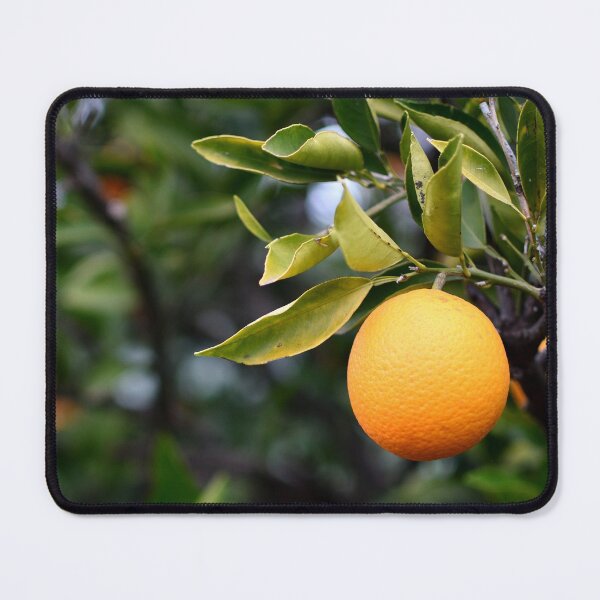 Item preview, Oranges designed and sold by notjustamwac.