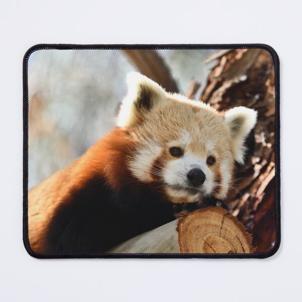 Item preview, Red Panda designed and sold by notjustamwac.