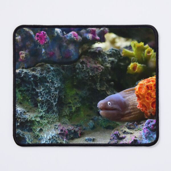 Item preview, Moray Eel in coral designed and sold by notjustamwac.