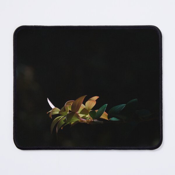 Item preview, Backlit beauty designed and sold by notjustamwac.