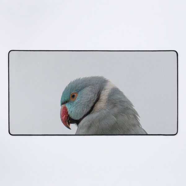 Item preview, Blue Indian Ringneck designed and sold by notjustamwac.